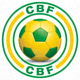 巴西国家队黄绿色队徽